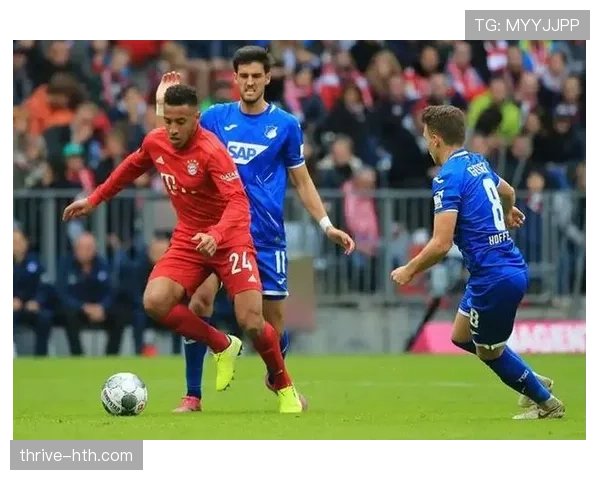 中游球队德甲开局稳健，实力与潜力并存剑指欧战目标