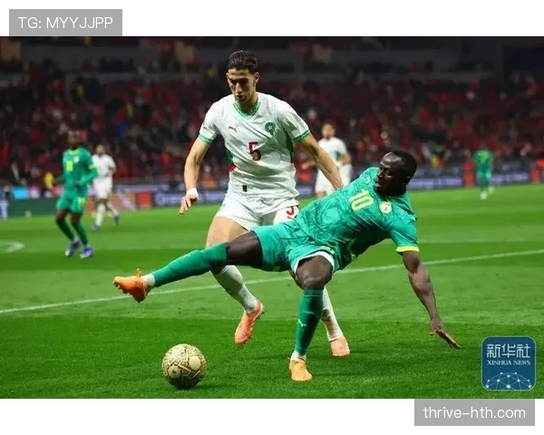 非洲杯最佳阵容