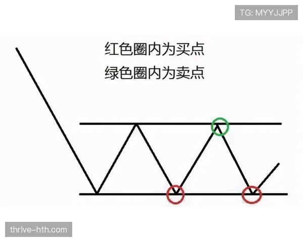 乌加特高位逼抢执行力与压迫数据价值分析