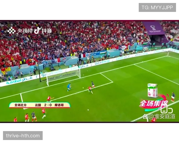 世界杯F组黑马路线全解析